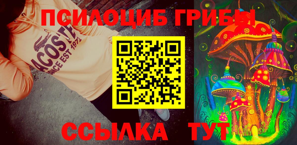Павловский Посад  Псилоцибиновые грибы Magic Shrooms  закладка  Вход с VPN 