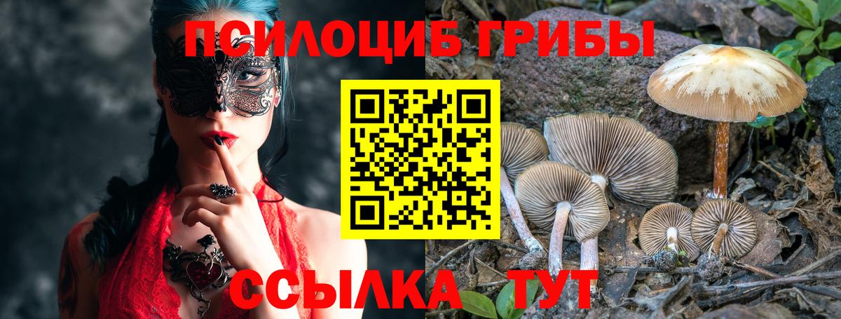 Псилоцибиновые грибы Magic Shrooms Павловский Посад